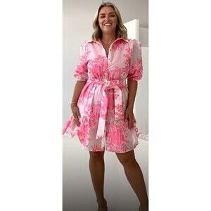 Gingham & Heels Glazer Pink Brocade Embroidered Floral Mini Belt Dress Size 16